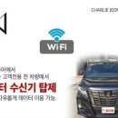 주식회사 찰리정투어 이미지