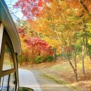 패브릭얀 방석 만들기 | 서울랜드 기업출강 자이언트얀 방석 만들기 원데이클래스 후기