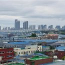 인천 248 인천투데이