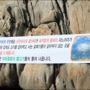 바다와향어 Daum카페