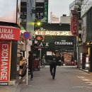 골덴가이