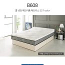 H9166 네이버블로그