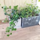 솔백한의원 이미지