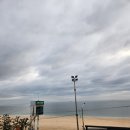 청춘조개포차 대천점 이미지