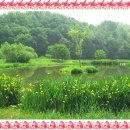 창대공인중개사사무소 이미지