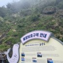 바람골민박 | 기브미 5박6일 울릉도여행 #3
