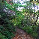 광일목장 이미지