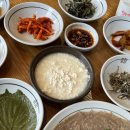 고은빛펜션 | 넷째주_ 또리의 주간일기 챌린지| 가평 애견동반 펜션, 스테이엘, 애견동반 맛집, 강동고은빛 임당검사