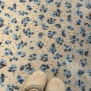 이미지-집 | 일반인 베네트 드레스 이미지 투어 후기