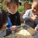 한사랑어린이집 이미지