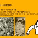 대진기업 이미지