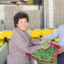 용계농장 이미지