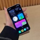 행복슈퍼 | 듀오링고 무료에서 슈퍼 듀오링고로 넘어온 후기｜83% 할인 팁