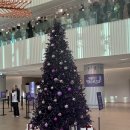 부스 | [서울]2025 컬리푸드페스타 꿀팁 부스 후기