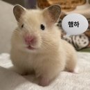 스폿라이트 - 순천시 중앙6길 13-1 | 스폿라이트