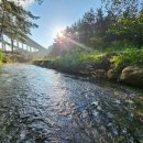 일광농장 이미지