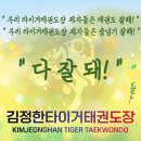 김정한 타이거 태권도장 이미지
