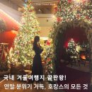 비케이호텔인제주 | 국내 겨울여행지 끝판왕! 제주 해비치호텔 조식 디너 오션뷰 객실 비교 연말호캉스 올-인 후기