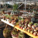 휴거리농장 이미지