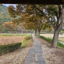 죽도방