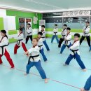 성무태권도장 네이버블로그
