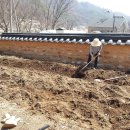 강미용소