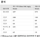 라드
