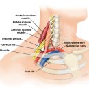 창포경희한의원 이미지