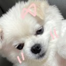 안남로 181 이미지