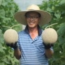 김희수농장 이미지