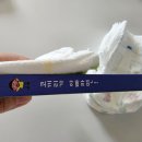 대상㈜ | 여름 기저귀 추천 팸퍼스 2026 터치 오브 네이처 썸머팬티 7개월 아기 4단계 후기