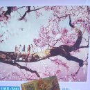 투데이 노래연습장 | (20260521목)혼자시내에논후기!!