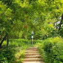 우면생태놀이터 이미지