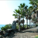 제주 올레길 7코스 이미지