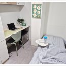 스테이 숲 이미지