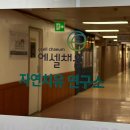 왜 나는 상담을 할까? 송약사가 걸어온 치유자의 여정
