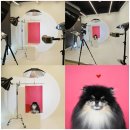 바우하우스 스튜디오 이미지