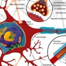 김경훈박사의 뉴로트레이닝센터(서울본부) 이미지
