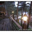 소나무이야기 펜션 이미지