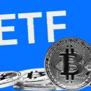 블랙록 비트코인 ETF 거래량 6개월 만 최대치⋯ ‘FOMO’ 왔나 이미지