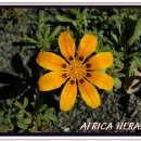 나비농장 이미지