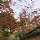 명심선원