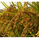 서안성농협 이미지