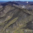 [속보] &#34;산불 때 이웃구한 인니 국적 3명, 특별기여자 체류자격 부여&#34; 이미지