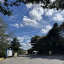 제981차 (19기-49 / ‘25.10.04) 상주 백악산 정기산행 이미지