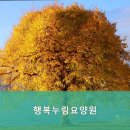 행복누림요양원 | 연로하신 부모님 위한 일산동구 요양원 행복누림요양원 편안한 노후 보장