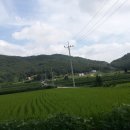 지내리