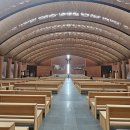 겟세마니 동산 | 화성 남양성모성지 대성당 내부 관람 후기 개방시간 총정리