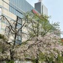 나가사키 | [ 일본 ] 후쿠오카에서 나가사키 가는 법 / 후쿠오카 텐진-나가사키 버스 탑승 후기