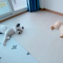 하루가평펜션 이미지